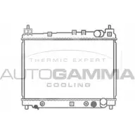 Радиатор охлаждения двигателя AUTOGAMMA 3850168 102957 BU80Q 1ESN U3N