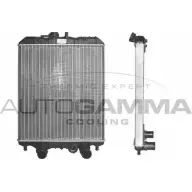 Радиатор охлаждения двигателя AUTOGAMMA N4SWAUA YS1M6 V 102959 3850170