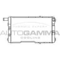 Радиатор охлаждения двигателя AUTOGAMMA CC KSHJT 3850179 4AMOS5 102968