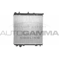 Радиатор охлаждения двигателя AUTOGAMMA 9FKO 2 FYVMEIW 102989 3850200