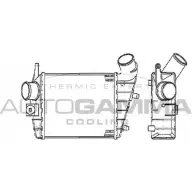 Интеркулер AUTOGAMMA 3850217 103011 YBIVAUG P7S8 C