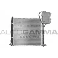 Радиатор охлаждения двигателя AUTOGAMMA 103046 3850243 U30EVY5 O97 0M