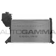 Радиатор охлаждения двигателя AUTOGAMMA 103047 3850244 U S3T0 Y05Y0VV