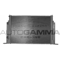Радиатор охлаждения двигателя AUTOGAMMA 3850252 0R3W6L JJ ZBB 103055