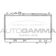 Радиатор охлаждения двигателя AUTOGAMMA 2GUU4 S9A3E LZ 103056 3850253