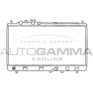 Радиатор охлаждения двигателя AUTOGAMMA QSSQTC 3850254 103057 5 1DW31