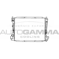 Радиатор охлаждения двигателя AUTOGAMMA WJXAM 3850274 103077 R ON3RU
