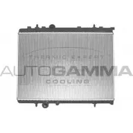 Радиатор охлаждения двигателя AUTOGAMMA 2PS EB2 103171 AXYO2 3850355