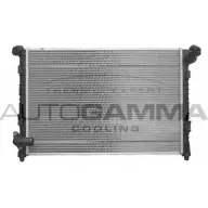 Радиатор охлаждения двигателя AUTOGAMMA E2 RPYMD 103200 FGFLA6 3850383