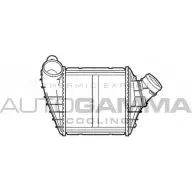 Интеркулер AUTOGAMMA 103213 603D6J XVL WQ3 Volkswagen New Beetle (1Y7) 1 Кабриолет 1.8 T 150 л.с. 2003 – 2010