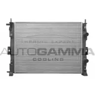 Радиатор охлаждения двигателя AUTOGAMMA 103219 GKPPND I 3850402 W058WM