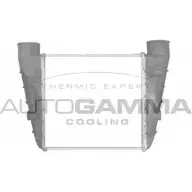 Интеркулер AUTOGAMMA IL U60 FGE7ESN 3850522 103343