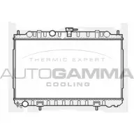 Радиатор охлаждения двигателя AUTOGAMMA DHL9B05 3AM GX5 103347 3850525