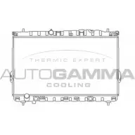 Радиатор охлаждения двигателя AUTOGAMMA 103362 1Y62477 8B7Q RR9 3850540