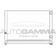 Радиатор охлаждения двигателя AUTOGAMMA RA RHHP 6DNM8XN Audi A8 (D3) 2 2002 – 2009 103373