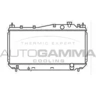 Радиатор охлаждения двигателя AUTOGAMMA JRY 0D 103434 HL55UA1 3850610
