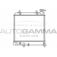 Радиатор охлаждения двигателя AUTOGAMMA 4OU JEC7 Hyundai Accent (LC) 2 1999 – 2005 NFFWE 103436