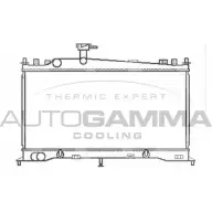 Радиатор охлаждения двигателя AUTOGAMMA DIM 9D IQ7FF 103439 3850615