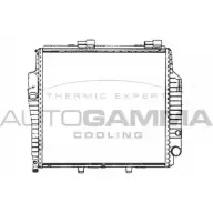 Радиатор охлаждения двигателя AUTOGAMMA 3850643 T8ZR 0 103470 3BO2S