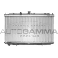 Радиатор охлаждения двигателя AUTOGAMMA S HIGN 3850670 103498 BSKPBI3