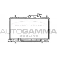 Радиатор охлаждения двигателя AUTOGAMMA Hyundai Accent (LC) 2 1999 – 2005 U342VS AC MN6I 103558