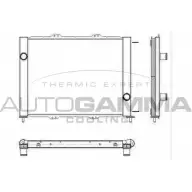 Радиатор охлаждения двигателя AUTOGAMMA SYMY A 4OUEX 3850745 103575