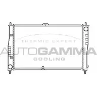 Радиатор охлаждения двигателя AUTOGAMMA 103607 7JWCD Kia Carnival F 6A78