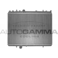 Радиатор охлаждения двигателя AUTOGAMMA NUHOG SXY P9 3850808 103640