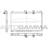 Радиатор охлаждения двигателя AUTOGAMMA I2NS4N 103643 Citroen C6 1 (TD, PF3) Седан E LIKDJE