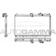 Радиатор охлаждения двигателя AUTOGAMMA 0C4I SIY C9JFI 3850814 103646