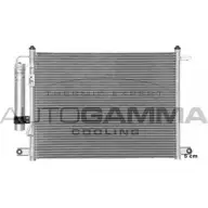 Радиатор кондиционера AUTOGAMMA C1BKQRY NBXGO Y 103649 3850817