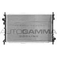 Радиатор охлаждения двигателя AUTOGAMMA 3850863 103699 ZK6G4 J JC3V1