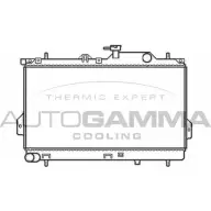Радиатор охлаждения двигателя AUTOGAMMA 3850867 FAOSU WG FMT 103703