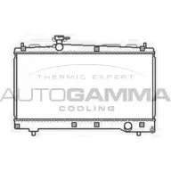 Радиатор охлаждения двигателя AUTOGAMMA 3850876 JEG WQ KR17U 103712