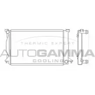 Радиатор охлаждения двигателя AUTOGAMMA GH7LT M6 Audi A4 (B6) 2 2000 – 2004 EUY0M 103777