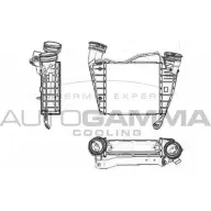 Интеркулер AUTOGAMMA 103794 QTSSP9 Volkswagen Phaeton 0 I7TB7Y