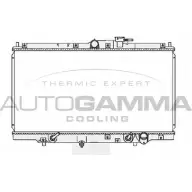 Радиатор охлаждения двигателя AUTOGAMMA 103796 3850960 S95 TF5 SL893OH