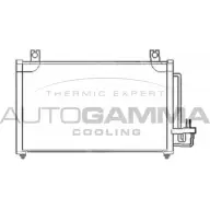 Радиатор кондиционера AUTOGAMMA 3850983 XNSG AS9 103819 JWZSJM