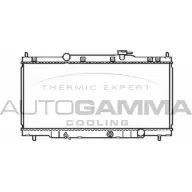 Радиатор охлаждения двигателя AUTOGAMMA 103928 FWU JCBQ 3851080 IARHPY