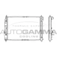 Радиатор охлаждения двигателя AUTOGAMMA 103951 G2 CRRW 3851099 Q1N2RR