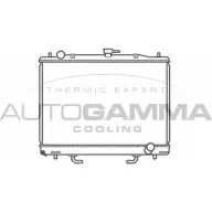 Радиатор охлаждения двигателя AUTOGAMMA FU PWN0D 3851110 XEL510 103963