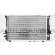 Радиатор охлаждения двигателя AUTOGAMMA 103976 XHYC29 DF SYY 3851123