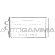 Радиатор печки, теплообменник AUTOGAMMA DNP18 3851129 V RP0G 103982