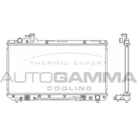 Радиатор охлаждения двигателя AUTOGAMMA 1XA HIM 3851147 104000 CWLR9