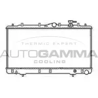 Радиатор охлаждения двигателя AUTOGAMMA FTEA4FB DHL OL 104063 3851210