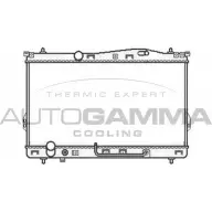 Радиатор охлаждения двигателя AUTOGAMMA 3851215 EIIOZSE 104068 83GC 9Z