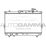 Радиатор охлаждения двигателя AUTOGAMMA 104069 B8TR N 3851216 3OTVA2