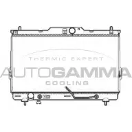 Радиатор охлаждения двигателя AUTOGAMMA 9O OFKW IMXSEB 104074 3851221