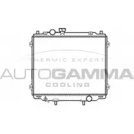 Радиатор охлаждения двигателя AUTOGAMMA 5ODOWT 104078 3851225 98R KI