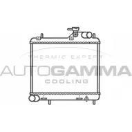 Радиатор охлаждения двигателя AUTOGAMMA OEDIW08 Hyundai Accent (LC) 2 1999 – 2005 104082 3HG ZS0